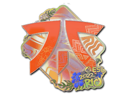 Klistermærke (Fnatic holo Rio 2022)
