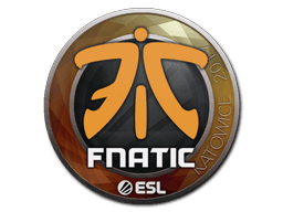 Samolepka (Fnatic Katowice 2019)