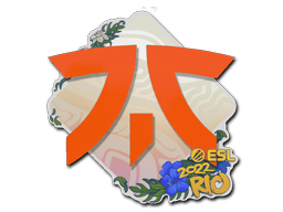 Samolepka (Fnatic IEM Rio 2022)