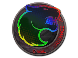 สติกเกอร์ (FURIA โฮโล Katowice 2019)