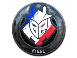 Klistermærke (G2 Esports folie Katowice 2019)