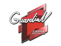 Samolepka (GuardiaN Boston 2018)