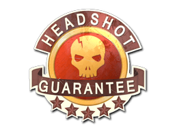 Samolepka (Headshot Guarantee)