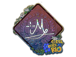 Klistermærke (iM glitter Rio 2022)