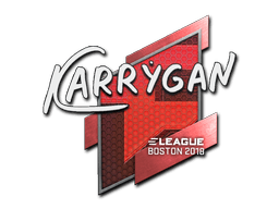 Adesivo (karrigan Boston 2018)