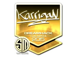 Samolepka (karrigan zlatá Kluž 2015)