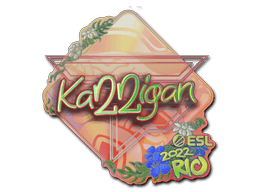 Klistermærke (karrigan holo Rio 2022)
