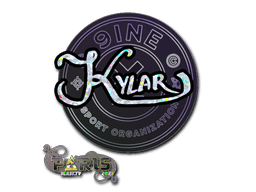 Klistermærke (Kylar glitter Paris 2023)