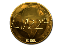 Samolepka (Liazz zlatá Katowice 2019)