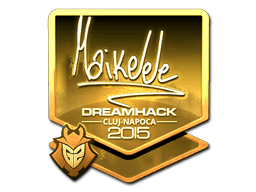 Samolepka (Maikelele zlatá Kluž 2015)