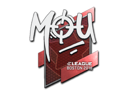 Samolepka (mou Boston 2018)