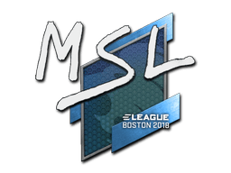 Samolepka (MSL Boston 2018)