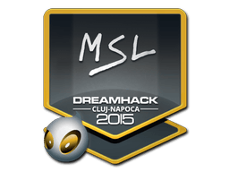 Samolepka (MSL Kluž 2015)