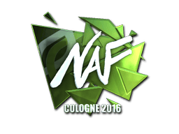 Adesivo (NAF Foil Cologne 2016)