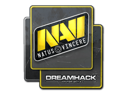Samolepka (Natus Vincere DreamHack 2014)