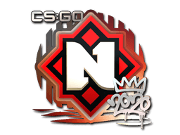 Adesivo (Nemiga RMR 2020)