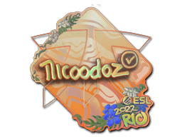 Klistermærke (nicoodoz holo Rio 2022)