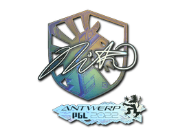 Samolepka (nitr0 holografická PGL Antwerp 2022)