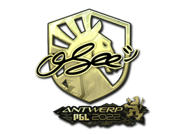 Adesivo (oSee Oro Anversa 2022)