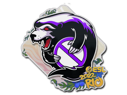 Samolepka (Outsiders IEM Rio 2022)