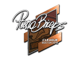 Samolepka (pashaBiceps Boston 2018)