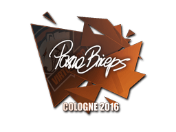 Samolepka (pashaBiceps ESL Cologne 2016)