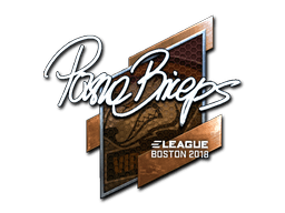 Klistermærke (pashaBiceps folie Boston 2018)