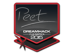 Naklejka (peet Kluż-Napoka 2015)