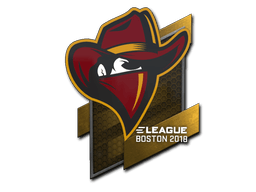 Samolepka (Renegades Boston 2018)