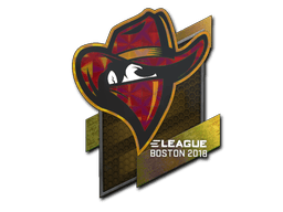 Klistermærke (Renegades holo Boston 2018)