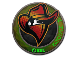 Klistermærke (Renegades holo Katowice 2019)