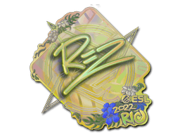 Aufkleber (REZ Holo Rio 2022)