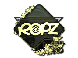 Samolepka (ropz zlatá IEM Rio 2022)