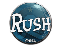 Aufkleber (RUSH Kattowitz 2019)