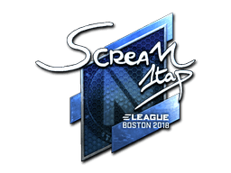 Samolepka (ScreaM speciální Boston 2018)