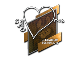 Samolepka (seang@res Boston 2018)