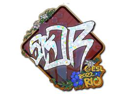 Klistermærke (sk0R glitter Rio 2022)
