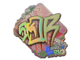 Klistermærke (sk0R holo Rio 2022)