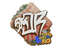 Samolepka (sk0R IEM Rio 2022)