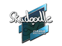 Samolepka (Skadoodle Boston 2018)