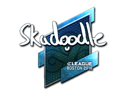 Klistermærke (Skadoodle folie Boston 2018)
