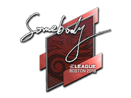 Samolepka (somebody Boston 2018)