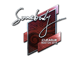 Klistermærke (somebody folie Boston 2018)