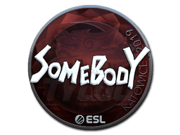 Klistermærke (somebody folie Katowice 2019)