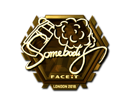 Samolepka (somebody zlatá London 2018)