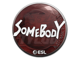 Samolepka (somebody Katowice 2019)