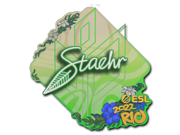 Naklejka (Staehr Rio 2022)