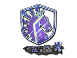 Klistermærke (Team Liquid holo Antwerp 2022)