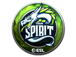 Klistermærke (Team Spirit folie Katowice 2019)