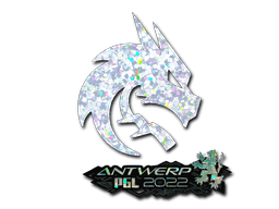 Klistermærke (Team Spirit glitter Antwerp 2022)